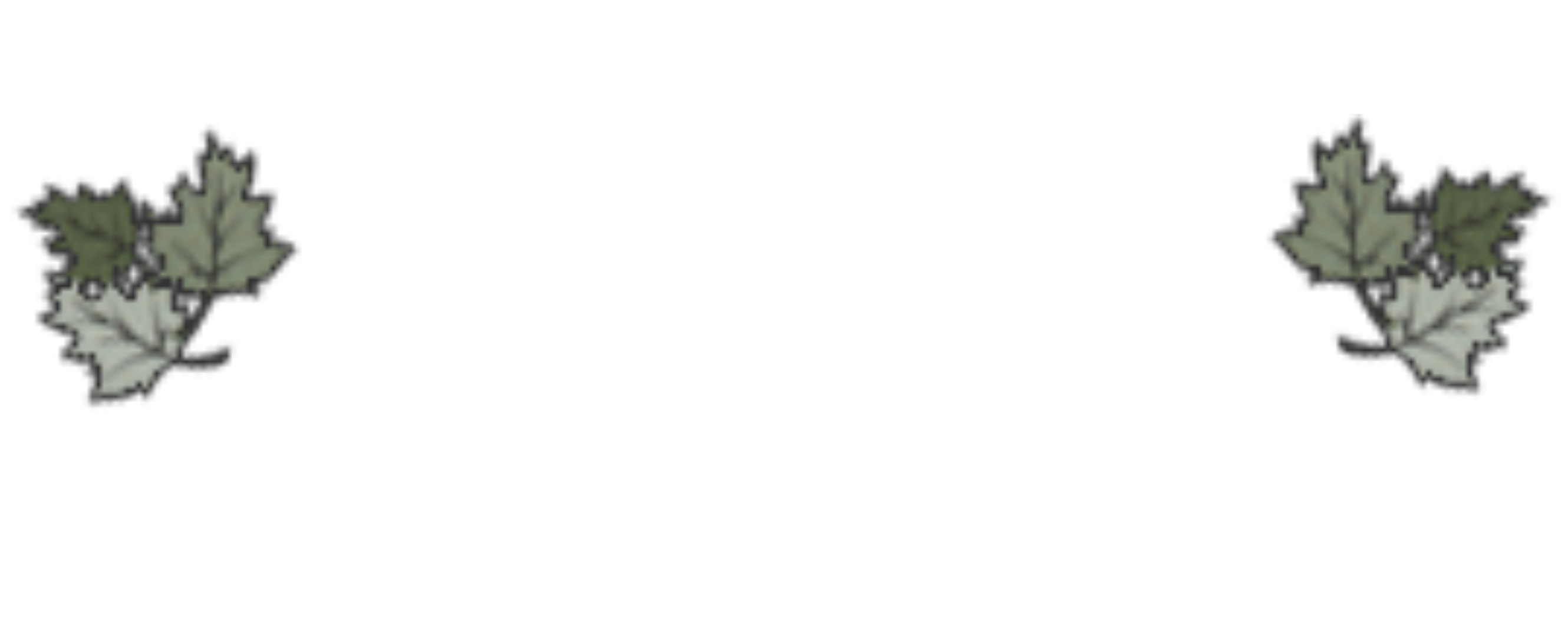 Younger Flooring